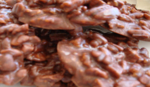 1.5lbs Chocolate Pecan Pralines with Coconut