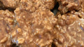 1.5lbs Original Pecan Pralines with Coconut
